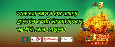 ডেইলি রিলোড বোনাস 💰 promotion